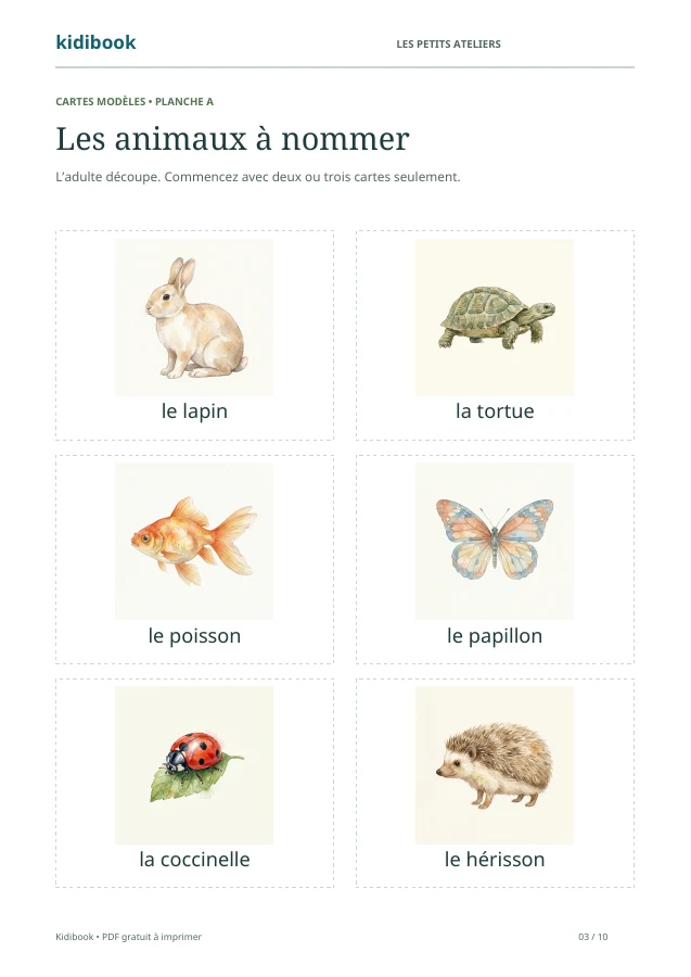 Page 3 : cartes des animaux